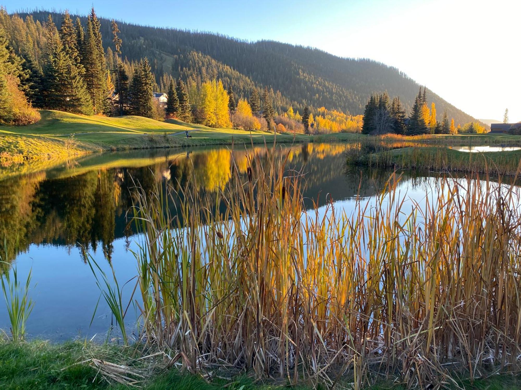 Morrisey Chalet At Sun Peaks Exterior photo